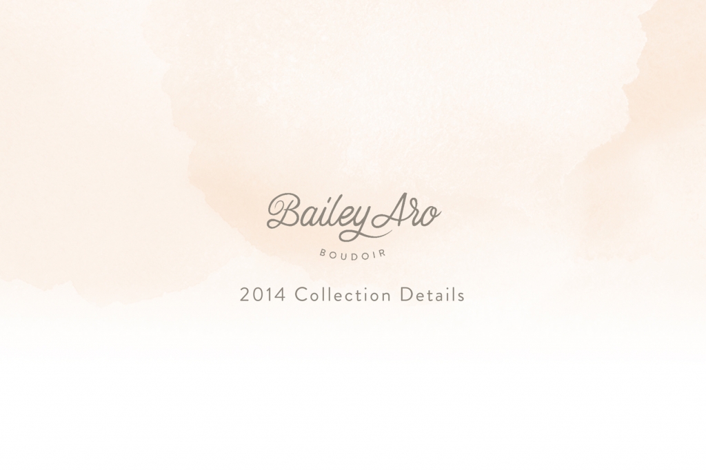 Bailey Aro Photography 2014 Luxury Boudoir Collection Details now available!